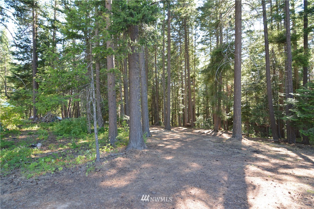 30 Bunker Road Ronald, WA 98940 - Photo 7 of 16 Gallery Image 7