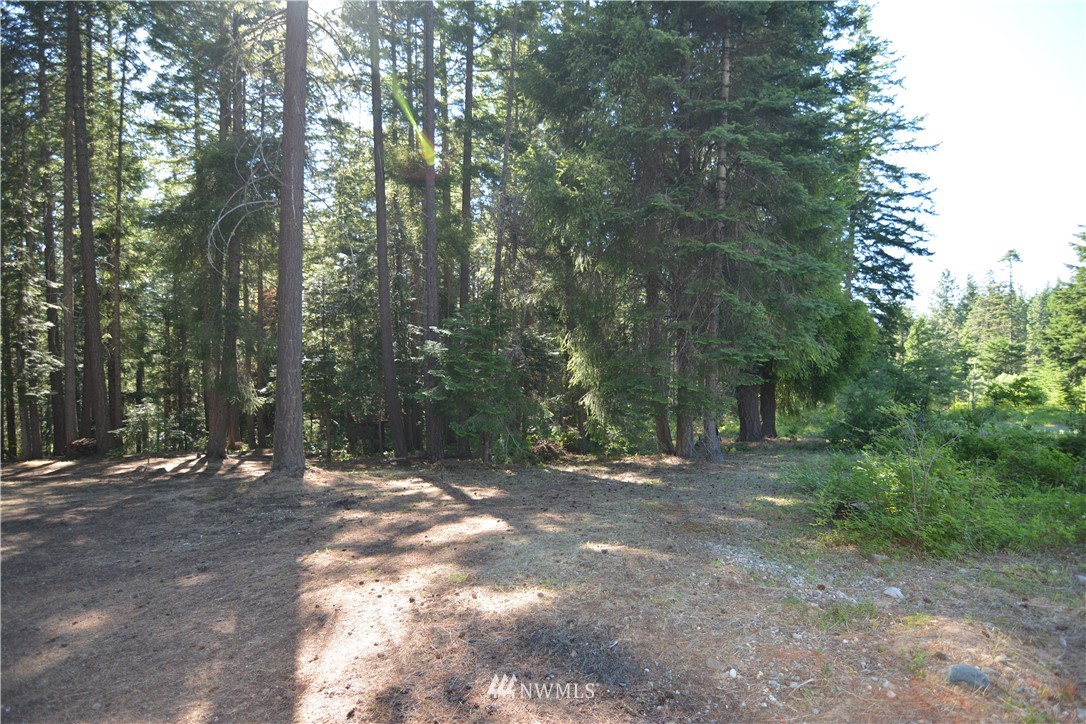 30 Bunker Road Ronald, WA 98940 - Photo 8 of 16 Gallery Image 8