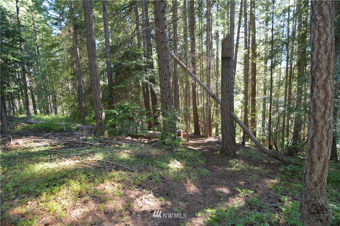 30 Bunker Road Ronald, WA 98940 - Photo 10 of 16 Gallery Image 10