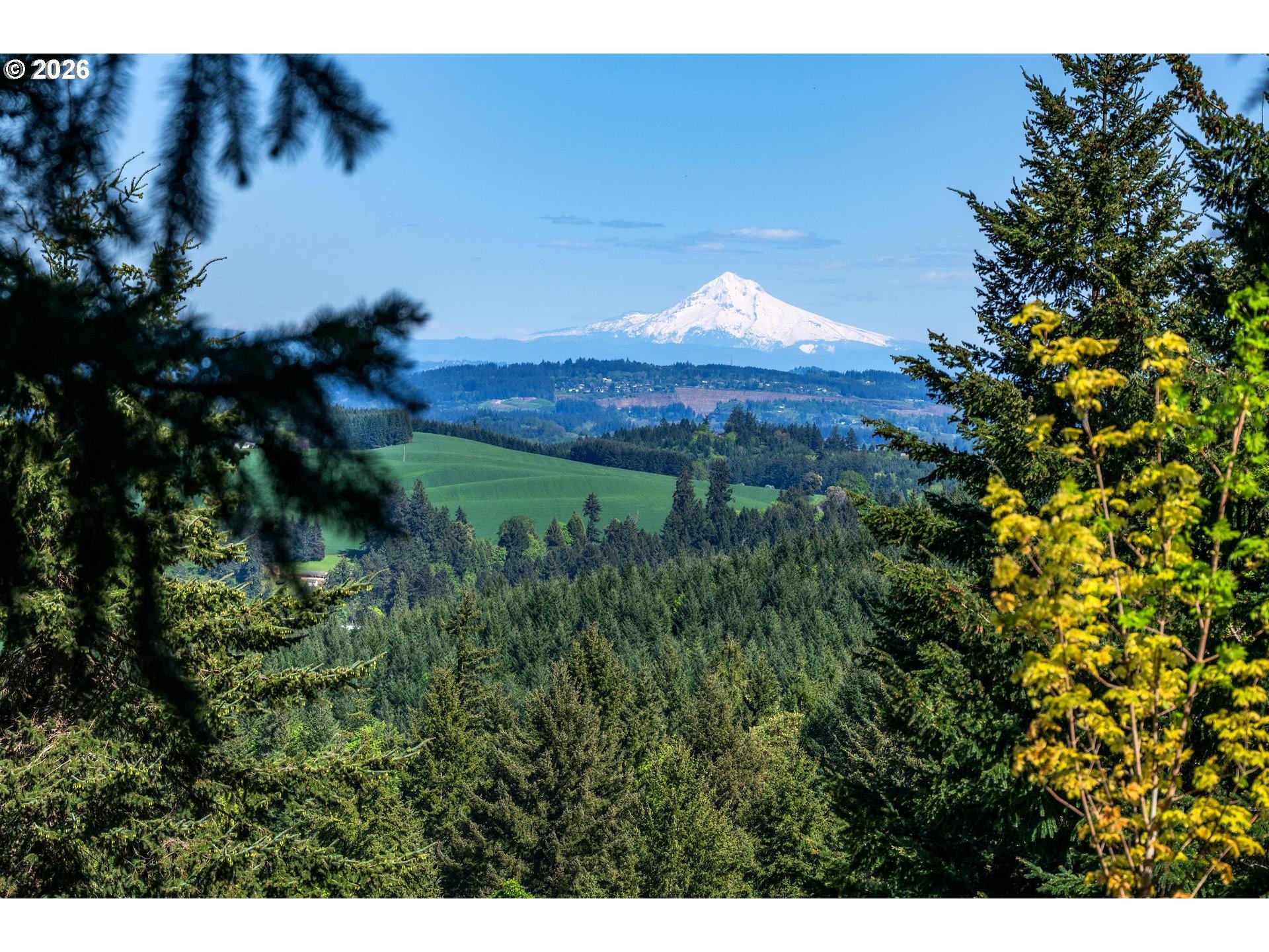Southwest Mountainside Drive Cornelius, OR 97113 - Photo 2 of 3 a view of a backyard of a house