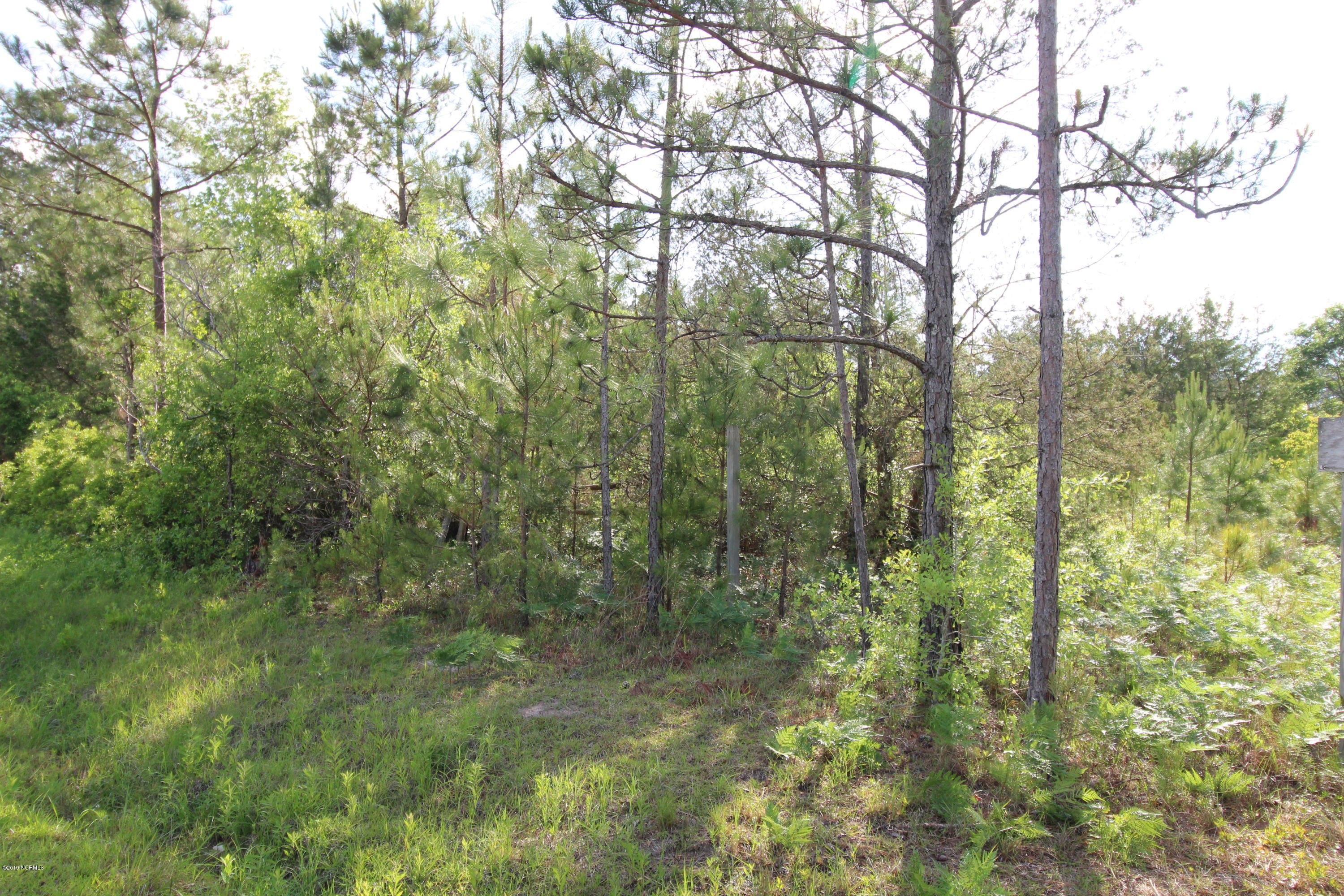 1-2 Van Riggs Road Hubert, NC 28539 - Photo 5 of 10 IMG_7541