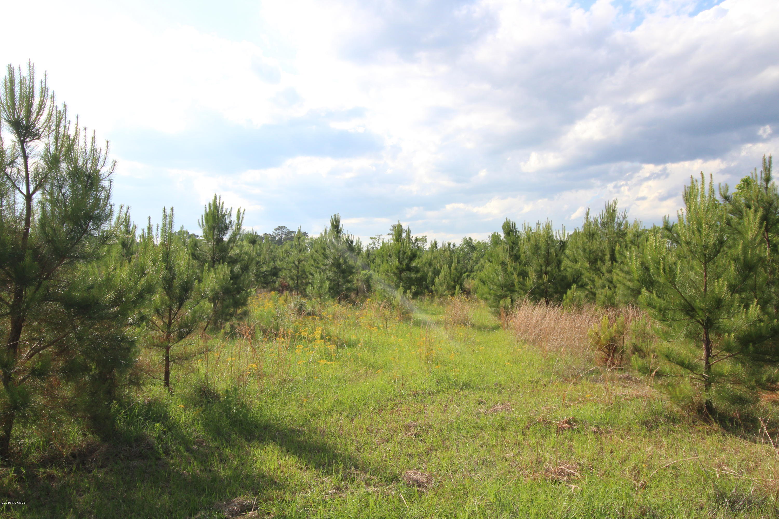 1-2 Van Riggs Road Hubert, NC 28539 - Photo 6 of 10 IMG_7542