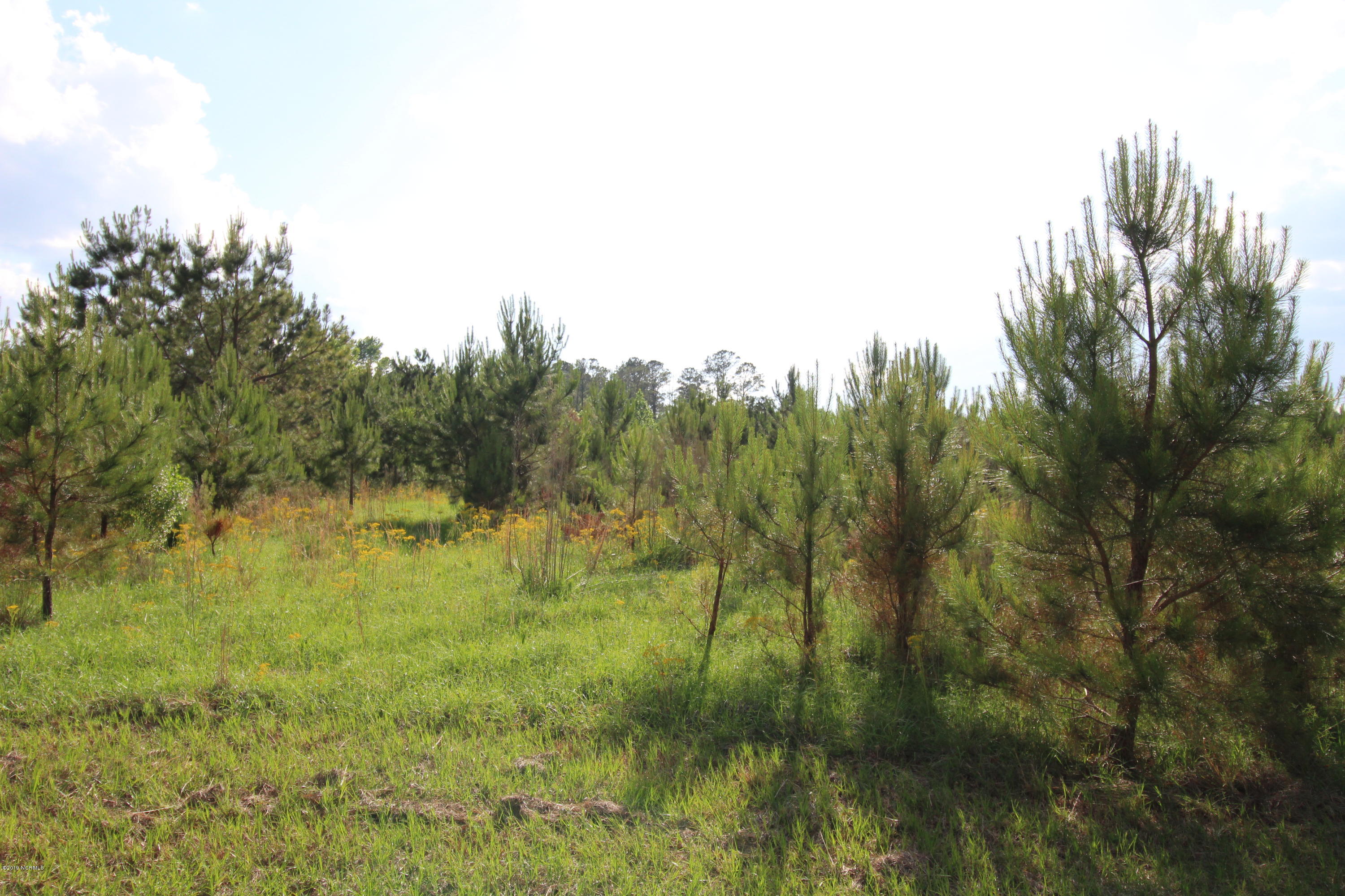 1-2 Van Riggs Road Hubert, NC 28539 - Photo 7 of 10 IMG_7543