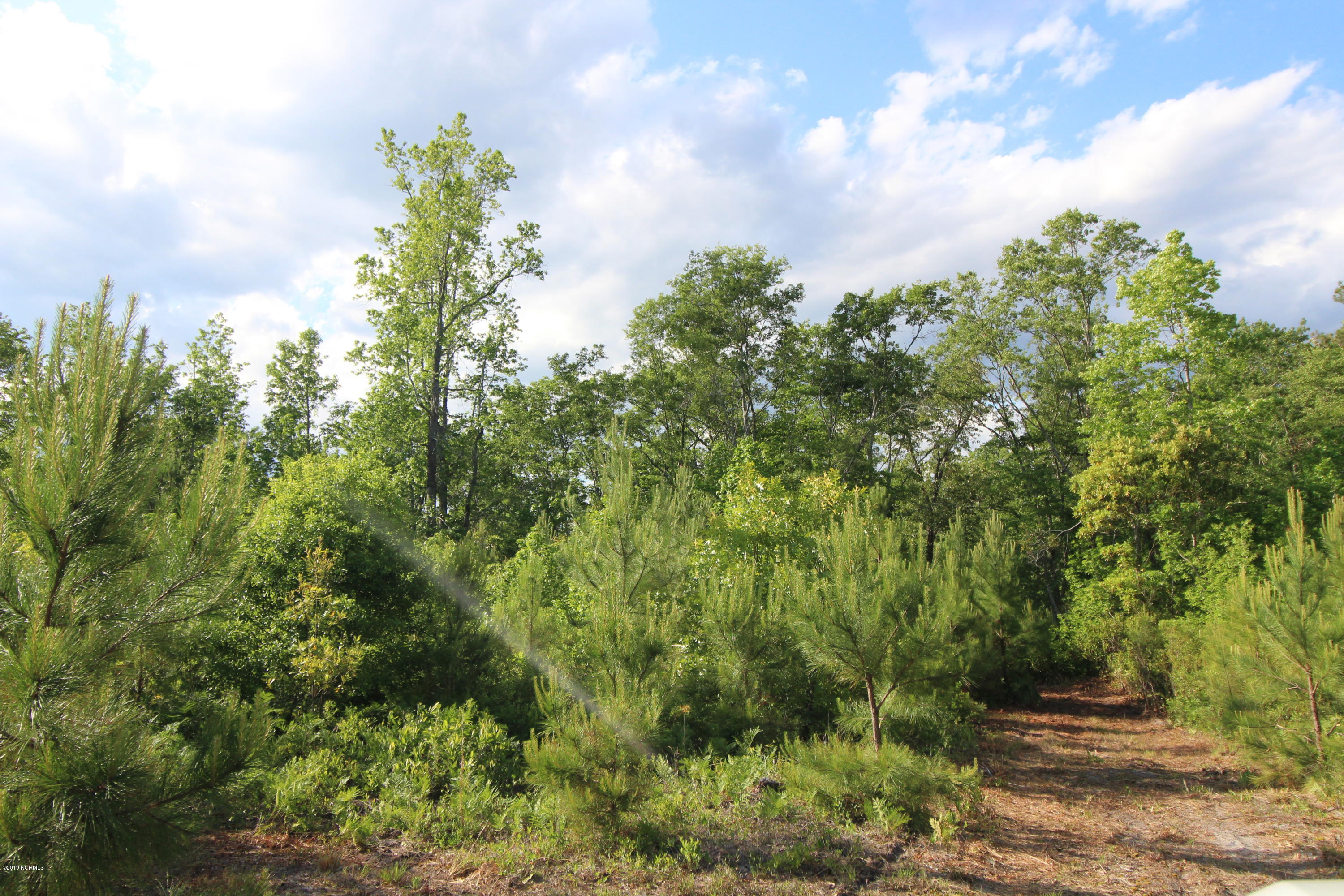 1-2 Van Riggs Road Hubert, NC 28539 - Photo 10 of 10 IMG_7547