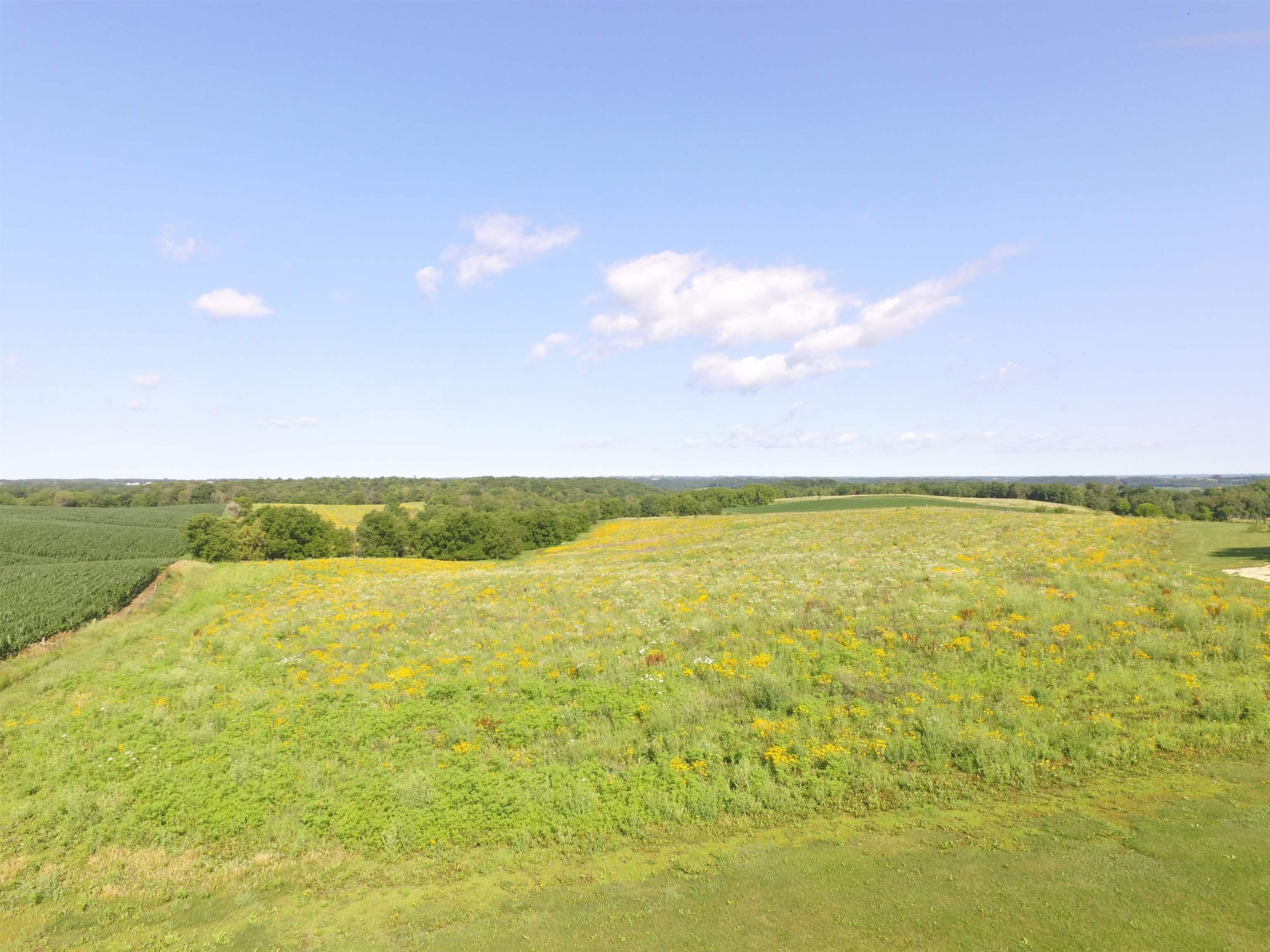 34553 Crystal Road Strawberry Point, IA 52076 - Photo 7 of 14 Gallery Image 7