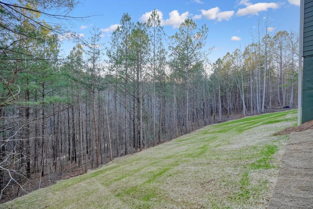 348 Redfield Way Jasper, GA 30143 - Photo 55 of 65 Gallery Image 55