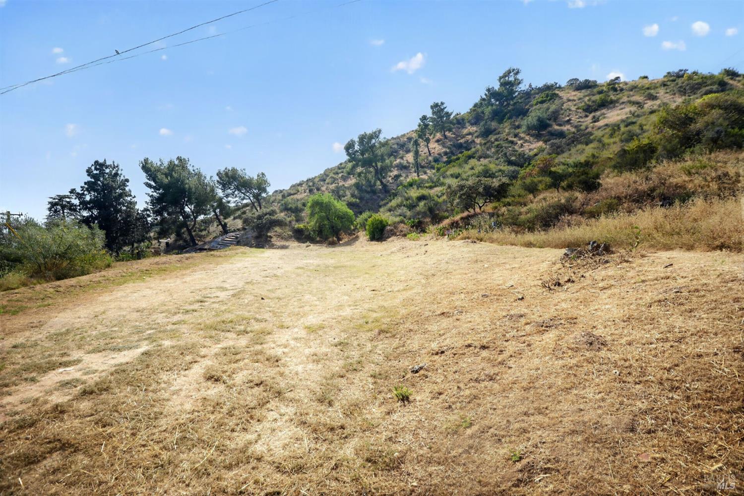 0 Rising Hill Road Altadena, CA 91001 - Photo 4 of 17 a view of a yard with a tree