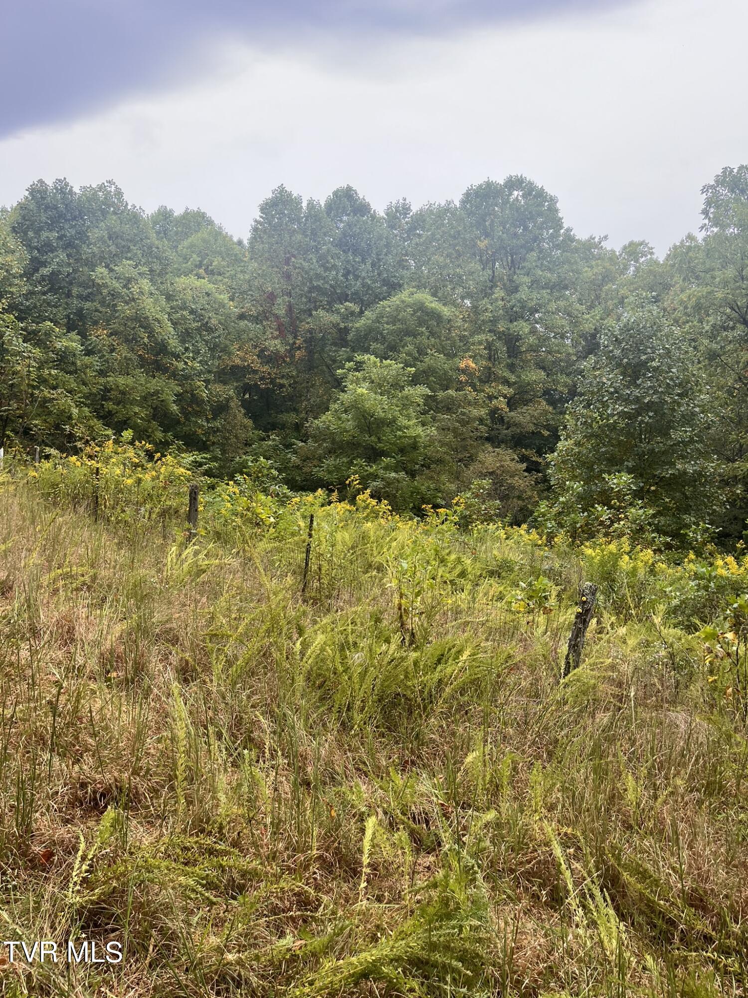 0 Jim Deal Road Elizabethton, TN 37643 - Photo 11 of 16 IMG_7140