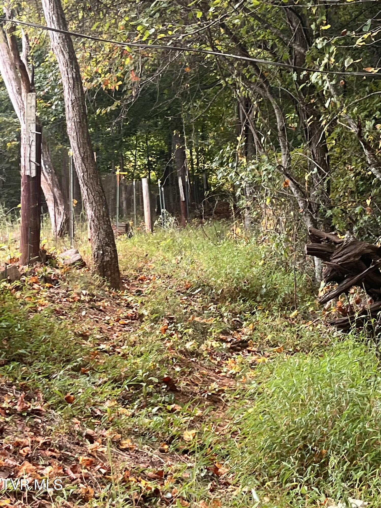 0 Jim Deal Road Elizabethton, TN 37643 - Photo 14 of 16 IMG_7155