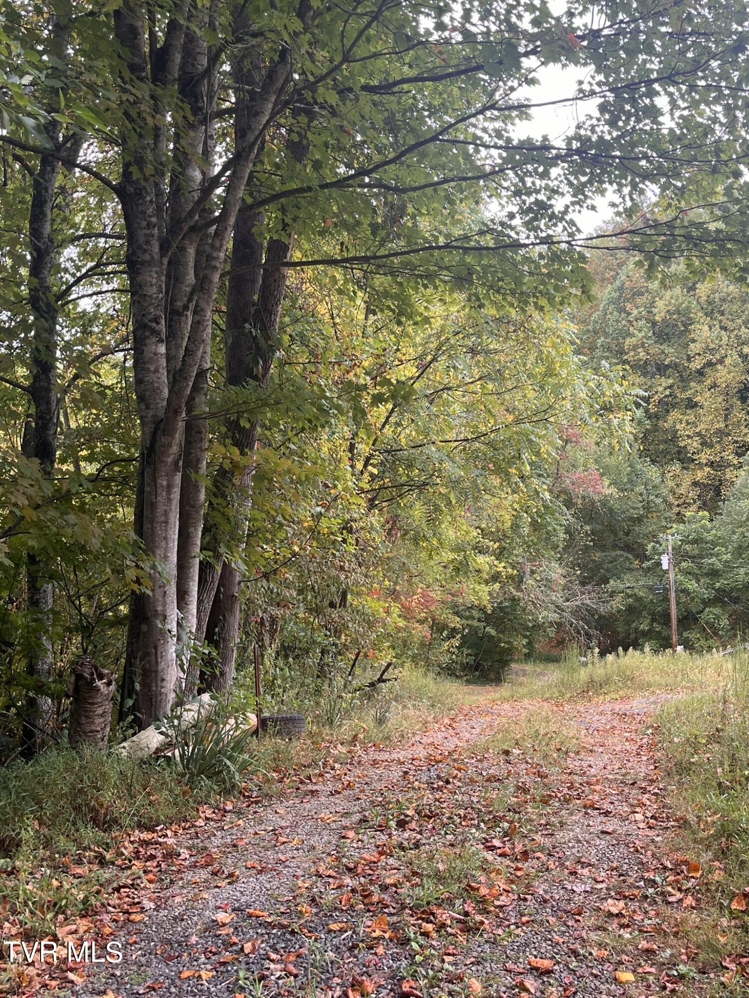 0 Jim Deal Road Elizabethton, TN 37643 - Photo 3 of 16 IMG_7157