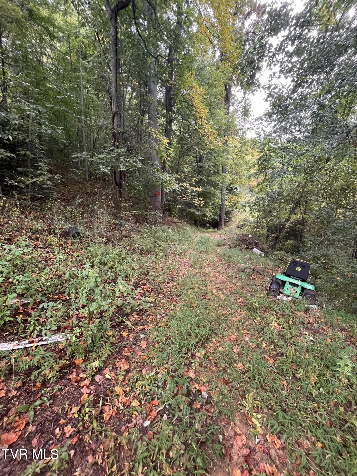 0 Jim Deal Road Elizabethton, TN 37643 - Photo 4 of 16 IMG_7154