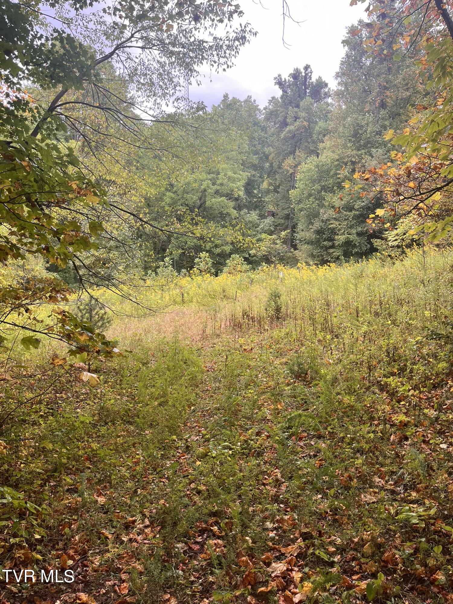 0 Jim Deal Road Elizabethton, TN 37643 - Photo 9 of 16 IMG_7138