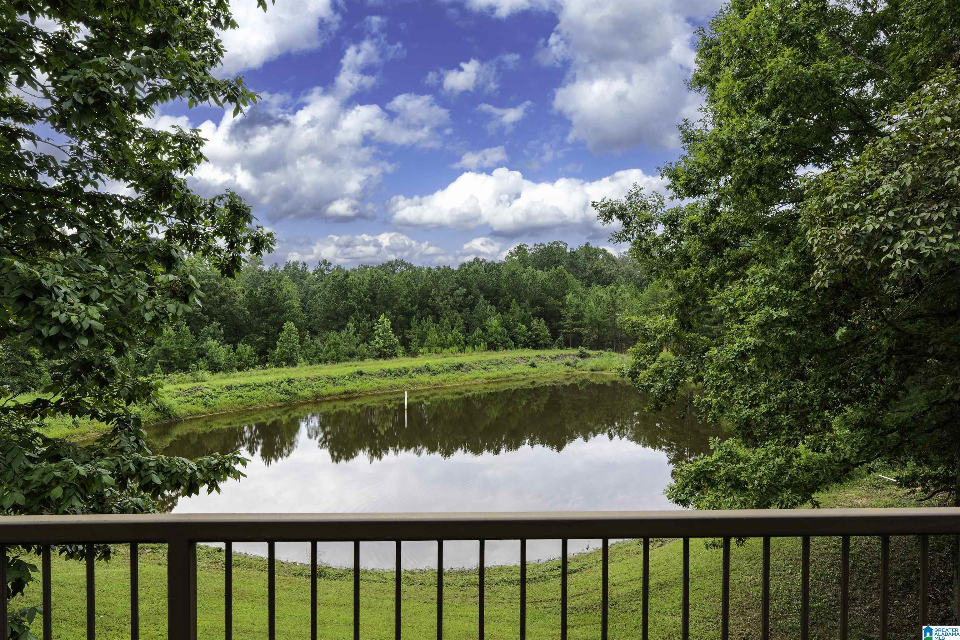 1187 Crawfords Cove Road Springville, AL 35146 - Photo 6 of 64