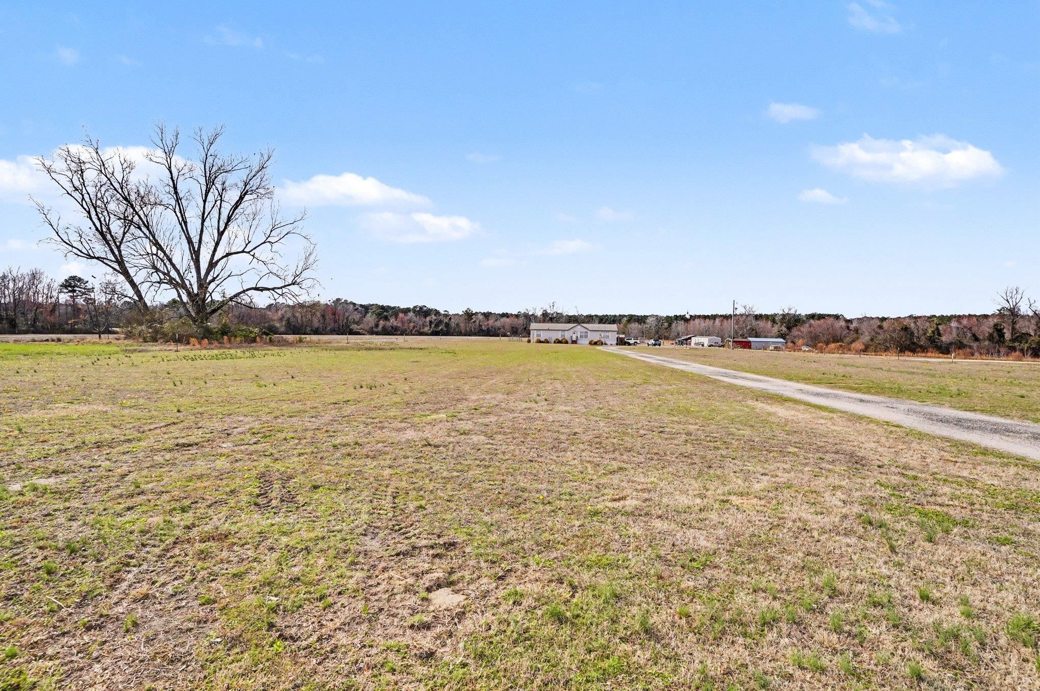 1619 Grain Bin Road Lake View, SC 29563 - Photo 4 of 29
