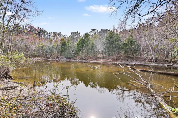 $250,000 | 1619 Grain Bin Road, Lake View, SC 29563