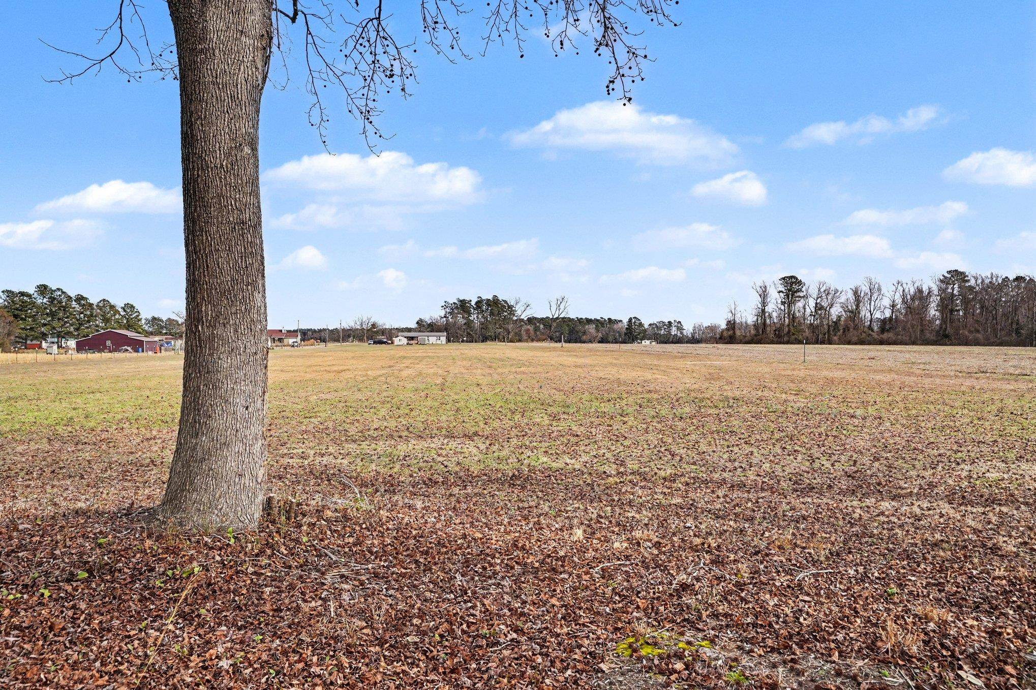 1619 Grain Bin Road Lake View, SC 29563 - Photo 8 of 28