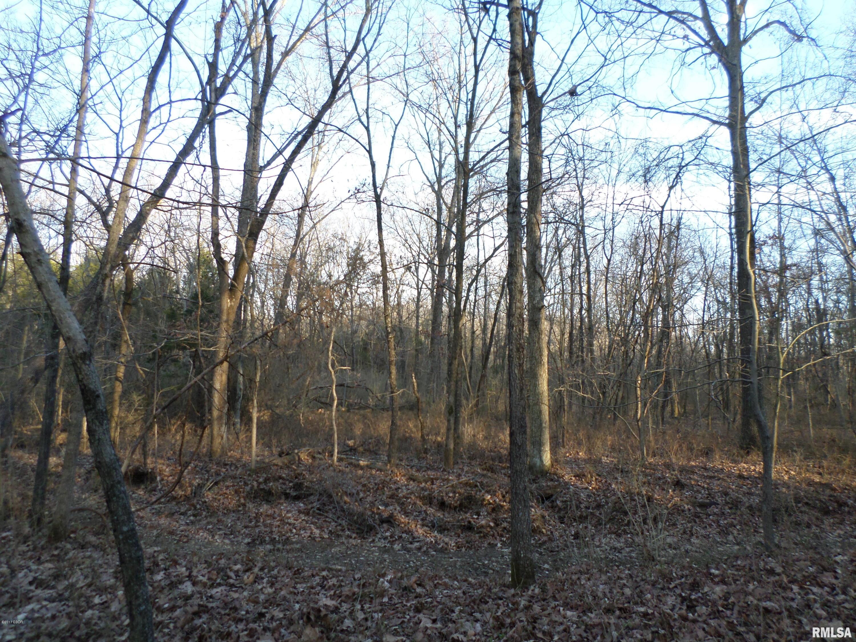7634 St Joseph Road Benton, IL 62812 - Photo 23 of 23 Gallery Image 23