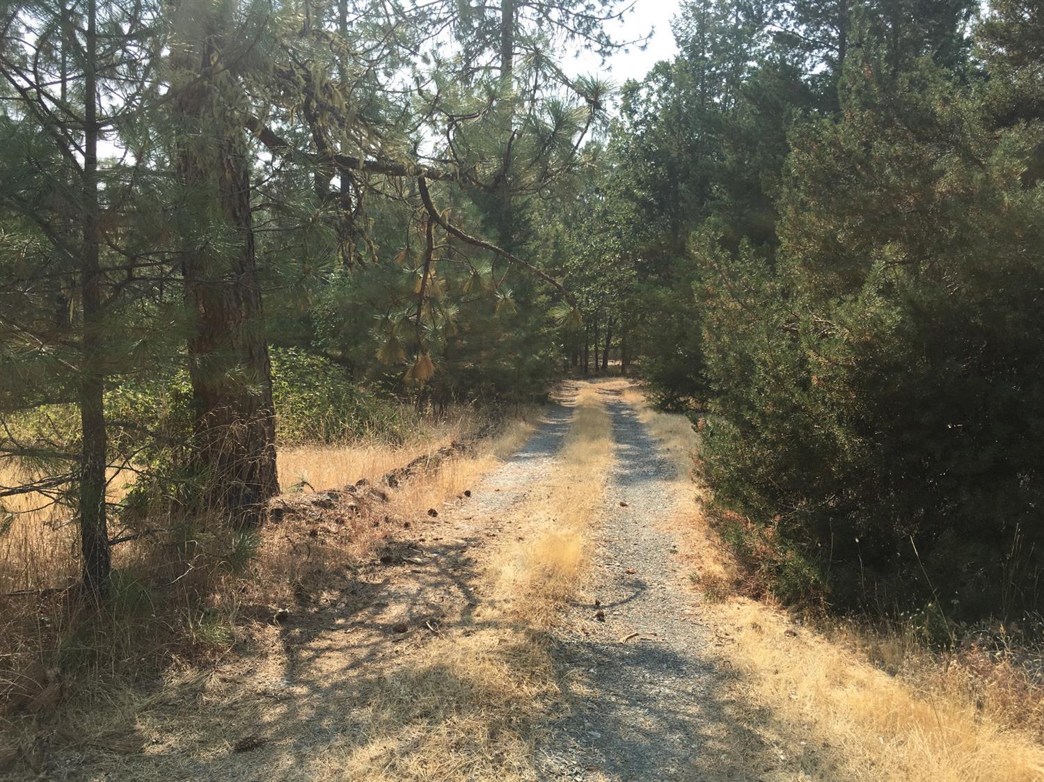 945 Queens Branch Road Rogue River, OR 97537 - Photo 18 of 18 Additional Photo