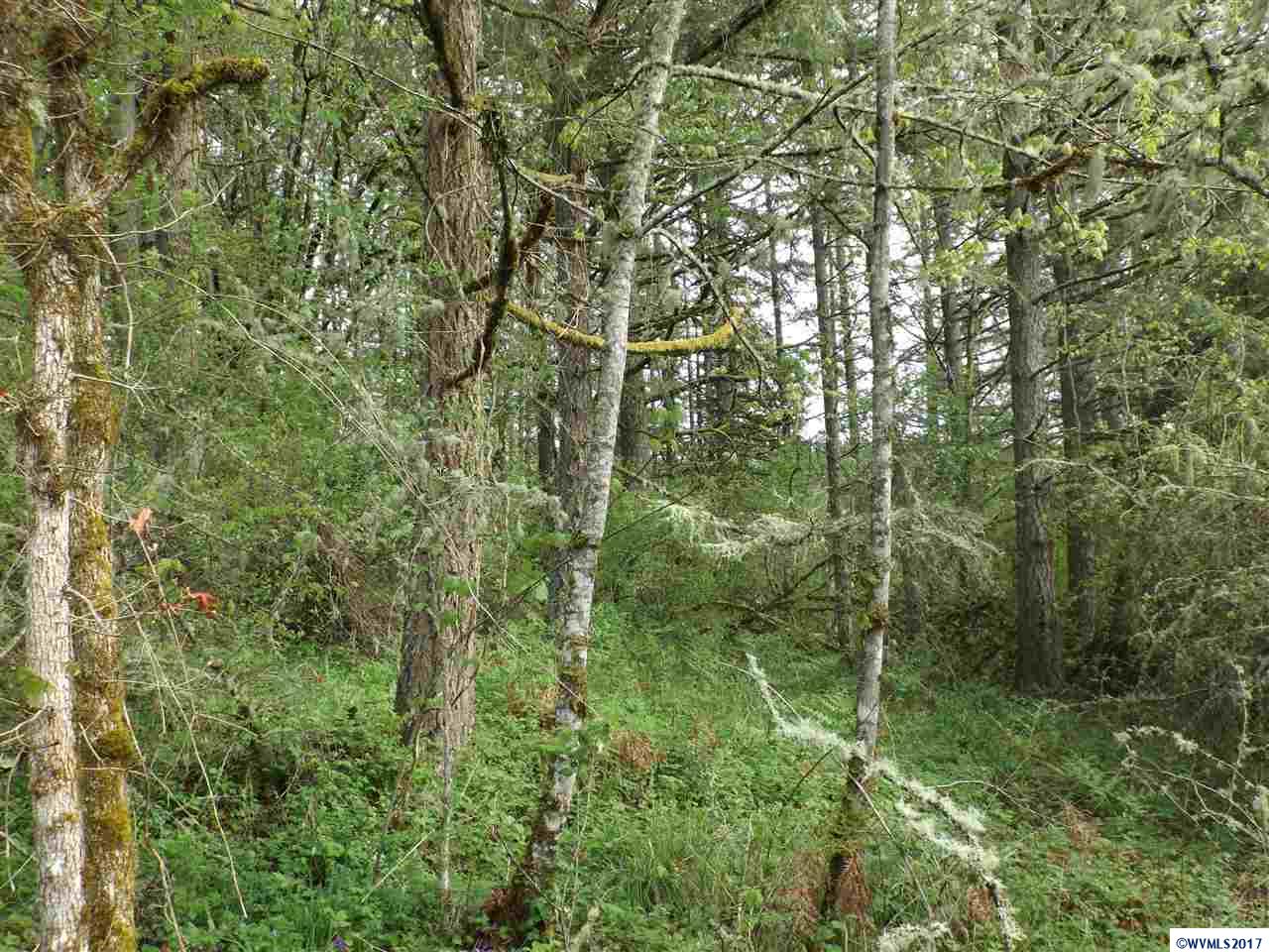 Weldon (lot 209) Road Lebanon, OR 97355 - Photo 12 of 17