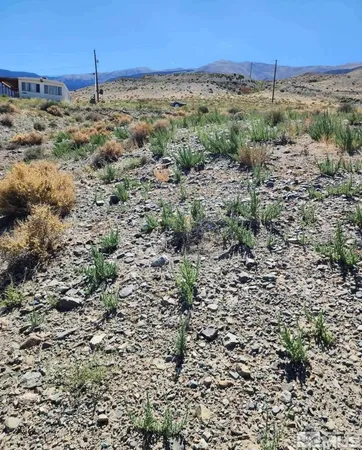 a view of a dry yard