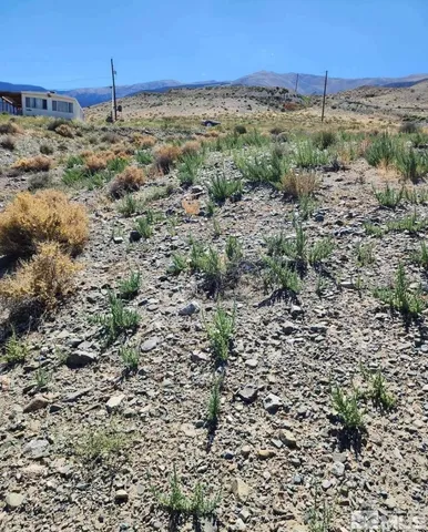 a view of a dry yard