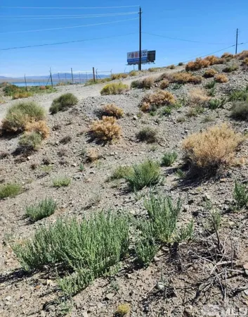a view of a dry field with trees in the background