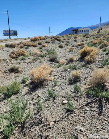 a view of a dry yard