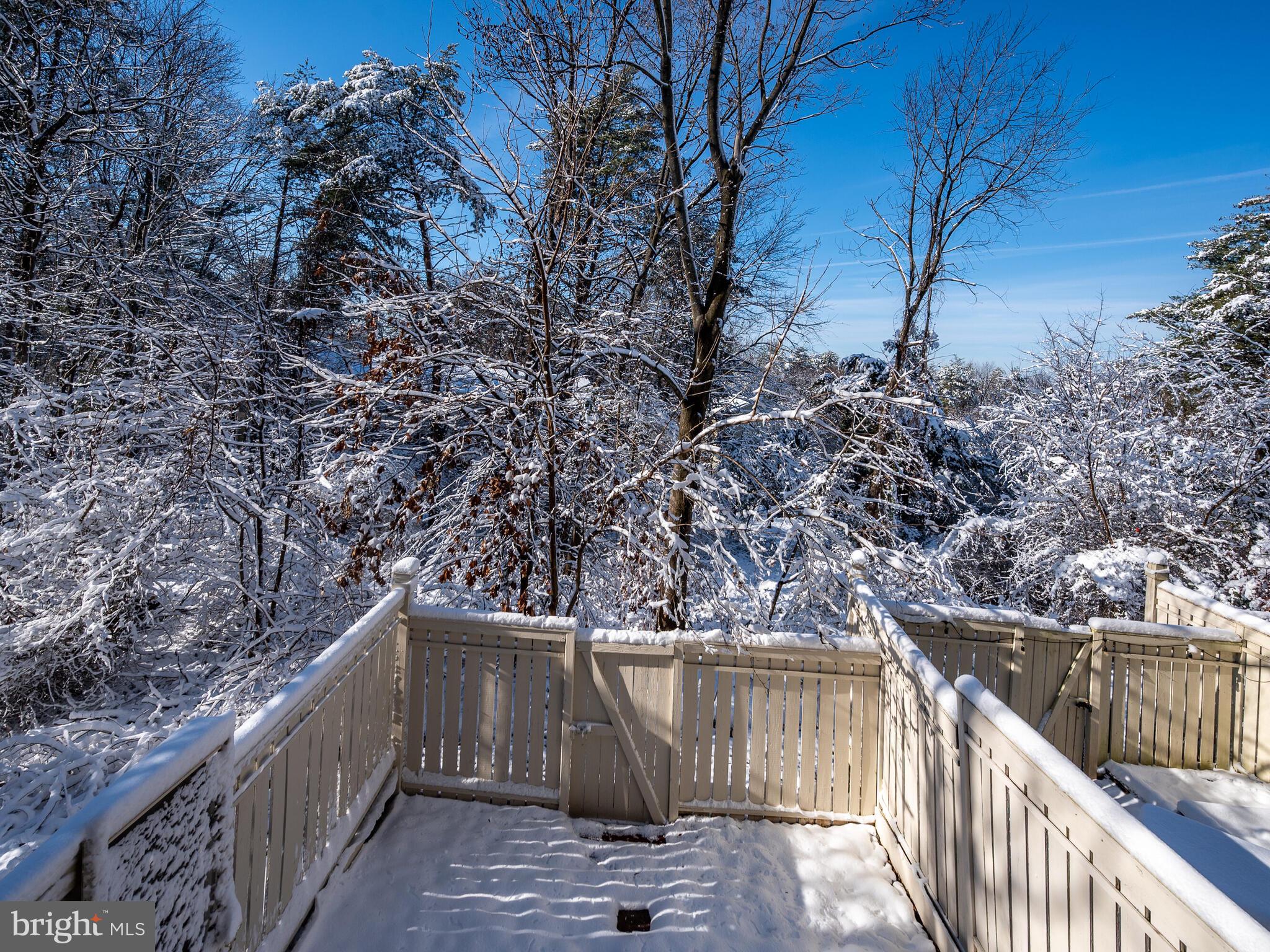 1648 Fieldthorn Drive Reston, VA 20194 - Photo 39 of 42 Gallery Image 39