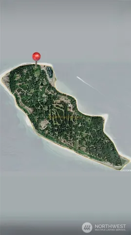 a close up of a plant in a garden