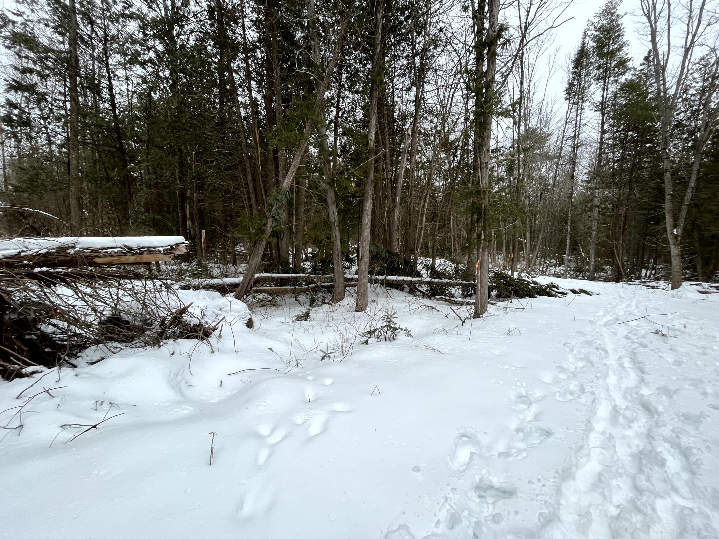 Lot 56-4r Gogan Road Waterville, ME 04901 - Photo 4 of 7 04 Exterior