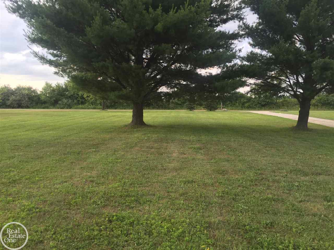 4090 East Wellman Line Road Jeddo, MI 48032 - Photo 3 of 23 31297672-2.JPG