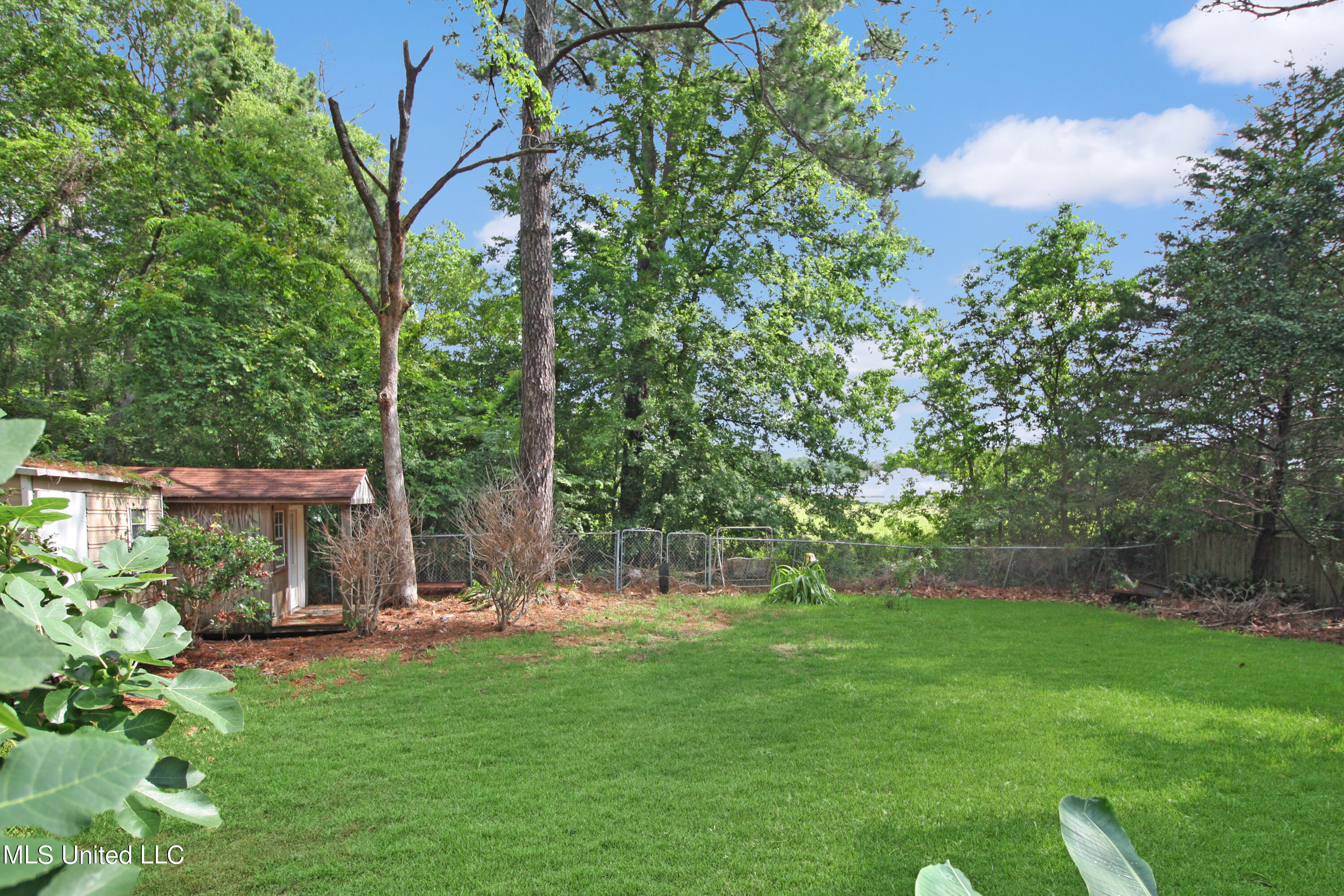 114 Plum Tree Road Brandon, MS 39047 - Photo 33 of 34 IMG_4383