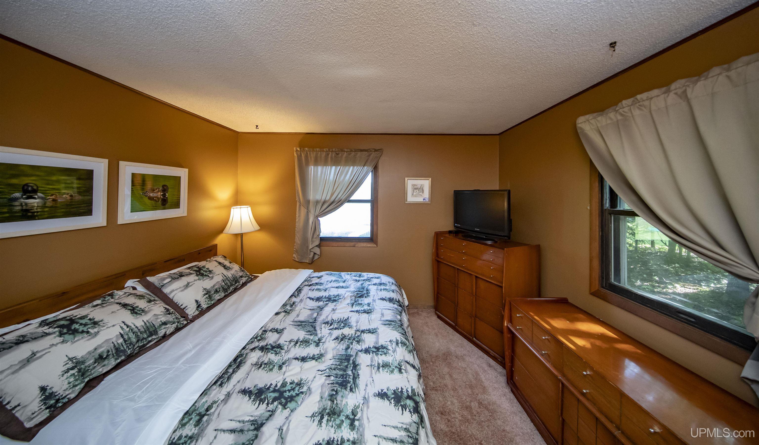 161 Camp Lake Road Iron River, MI 49935 - Photo 47 of 82