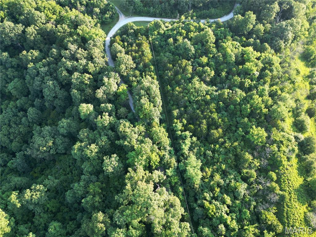 0 Sheppard Drive Barnhart, MO 63012 - Photo 13 of 24