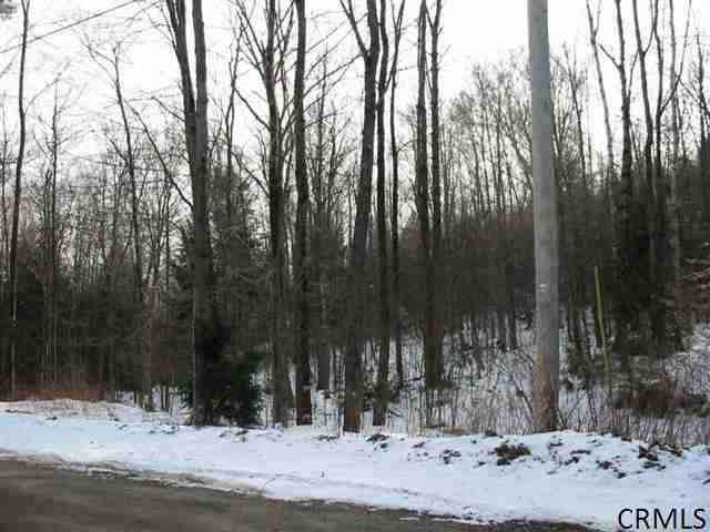 0 Smith Rd Lake Lake Luzerne, NY 12846 - Photo 1 of 2 Photo 1