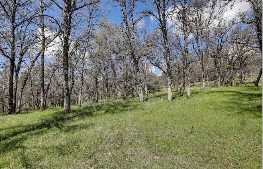 23826 Fagerlie Road Auburn, CA 95602 - Photo 15 of 21 Gallery Image 15