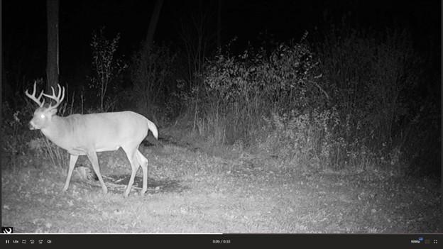 44047 Little Pine Road, Unit 568 ACRES Emily, MN 56447 - Photo 80 of 92