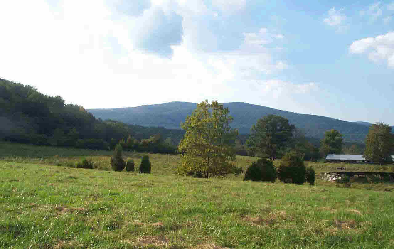 0 Skirmish Road Stanardsville, VA 22973 - Photo 1 of 1 Gallery Image 1