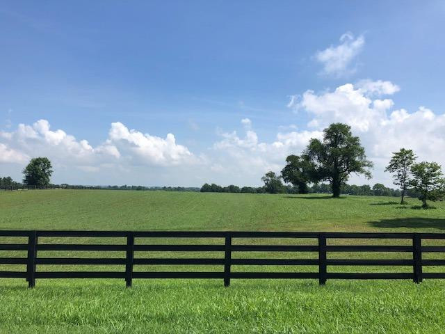 1560 Clifton Road Versailles, KY 40383 - Photo 2 of 4 Photo 2
