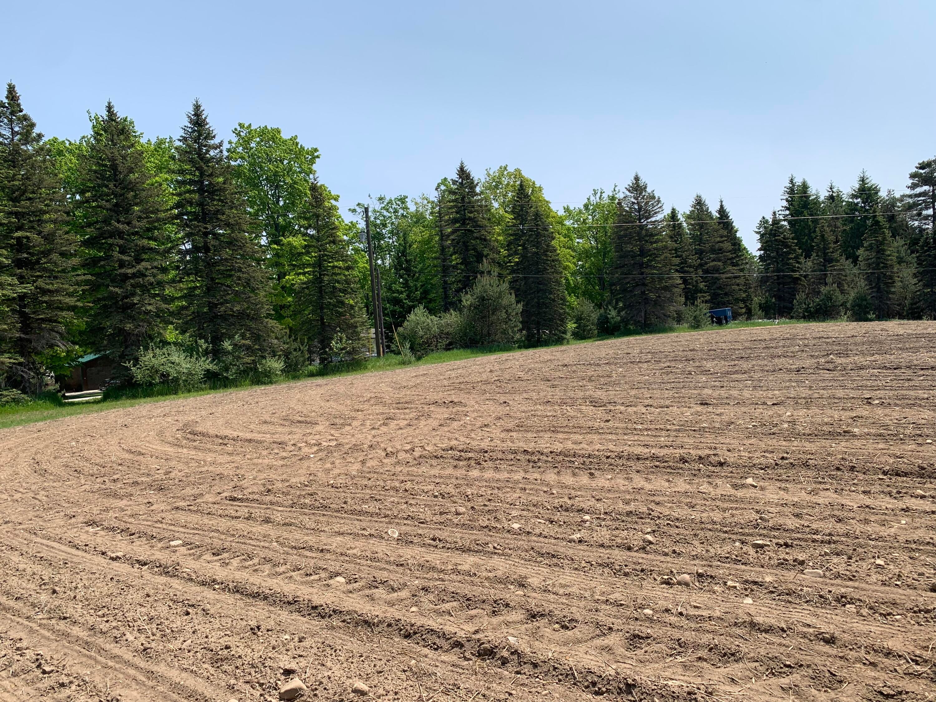 12141 Hibner Road Lachine, MI 49753 - Photo 6 of 25 Gallery Image 6