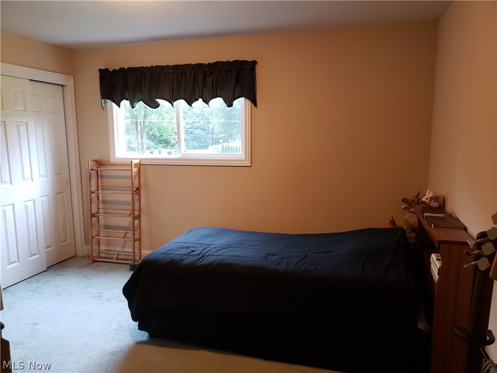 3561 Dayton Road Madison, OH 44057 - Photo 16 of 30 Gallery Image 16