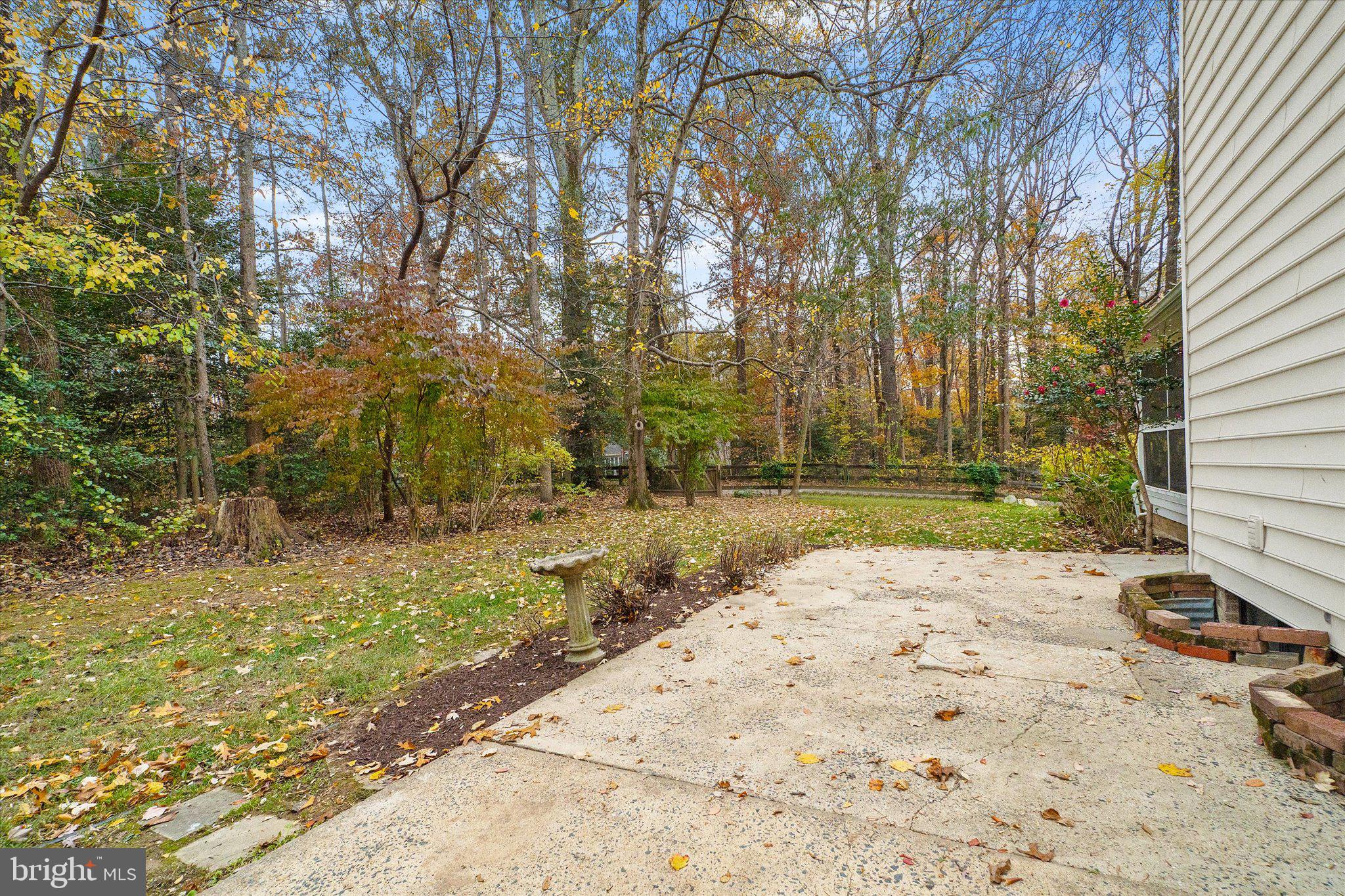 915 Welham Green Road Great Falls, VA 22066 - Photo 51 of 59