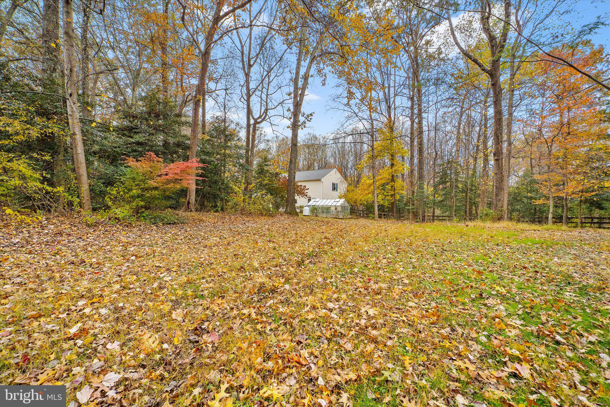 915 Welham Green Road Great Falls, VA 22066 - Photo 54 of 59