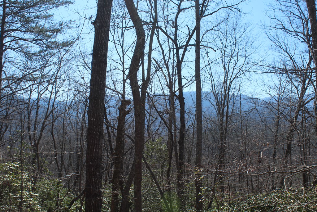 1017 Laurel Branch Road Hayesville, NC 28904 - Photo 11 of 16