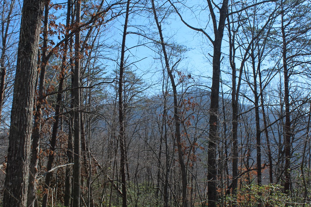 1017 Laurel Branch Road Hayesville, NC 28904 - Photo 13 of 16