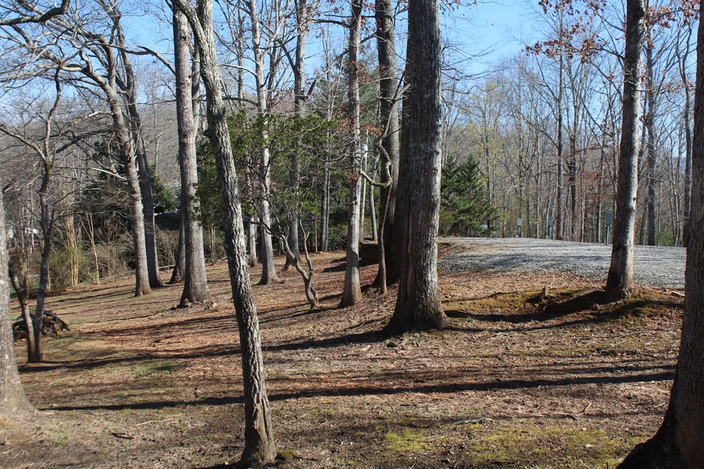 1017 Laurel Branch Road Hayesville, NC 28904 - Photo 14 of 16