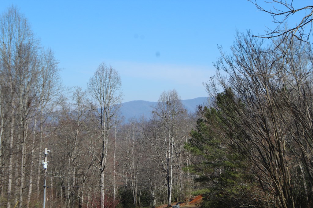 1017 Laurel Branch Road Hayesville, NC 28904 - Photo 15 of 16