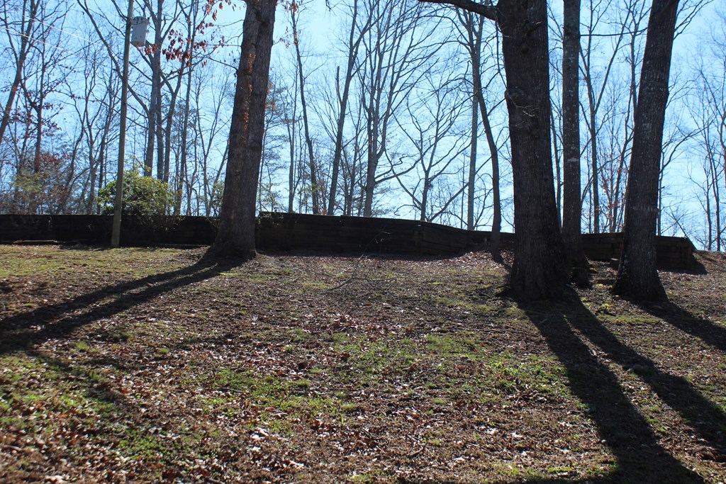 1017 Laurel Branch Road Hayesville, NC 28904 - Photo 16 of 16