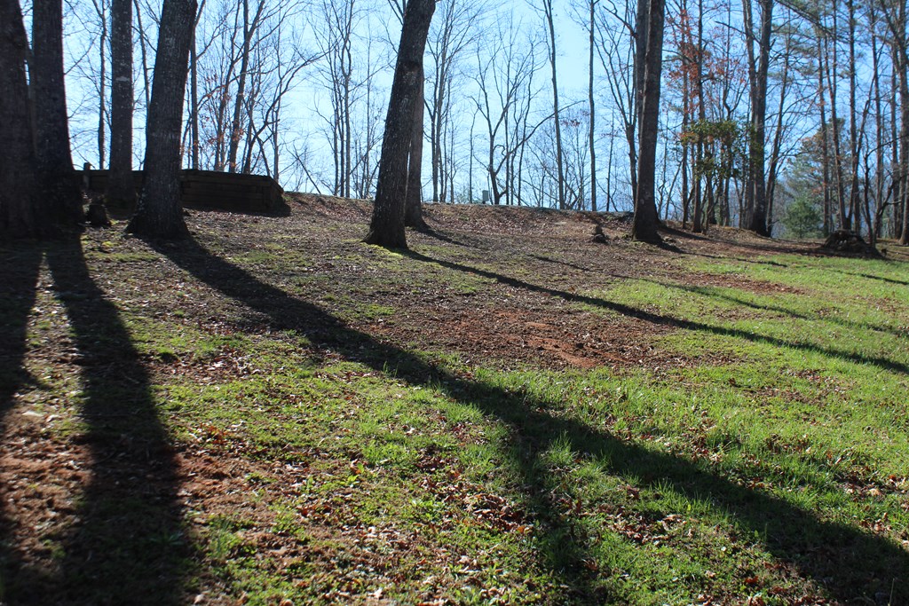 1017 Laurel Branch Road Hayesville, NC 28904 - Photo 2 of 16