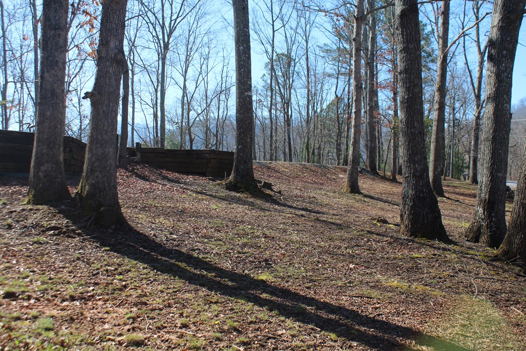 1017 Laurel Branch Road Hayesville, NC 28904 - Photo 3 of 16